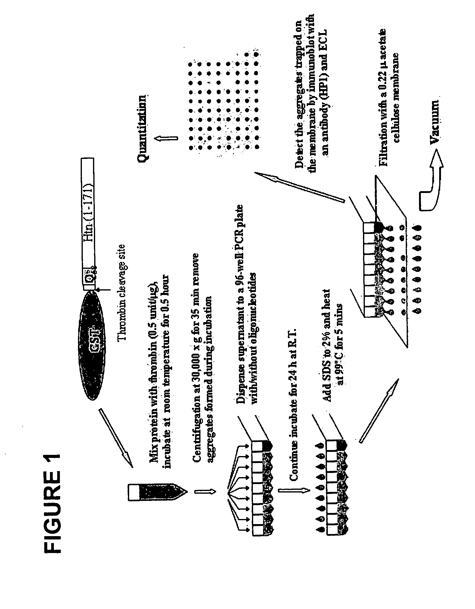 G-rich polynucleotides for the treatment of huntington's disease