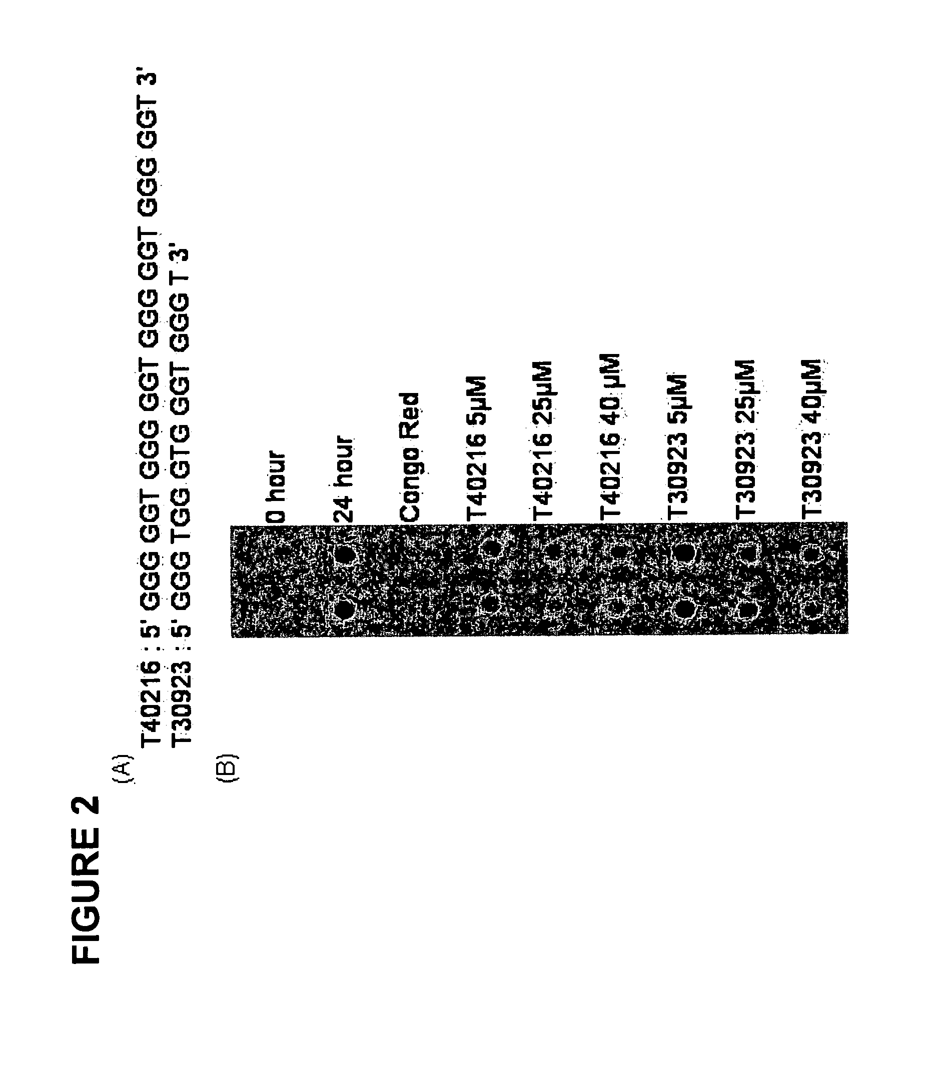 G-rich polynucleotides for the treatment of huntington's disease