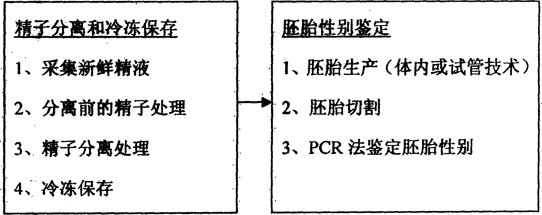 Livestock sex control method by using sperm separation and embryo sex identification as basis