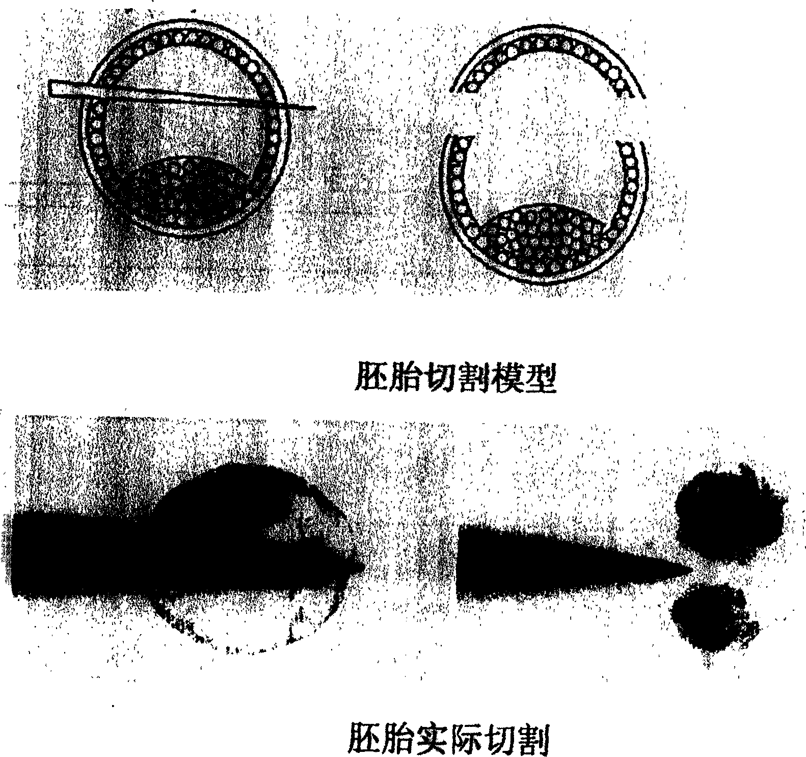 Livestock sex control method by using sperm separation and embryo sex identification as basis