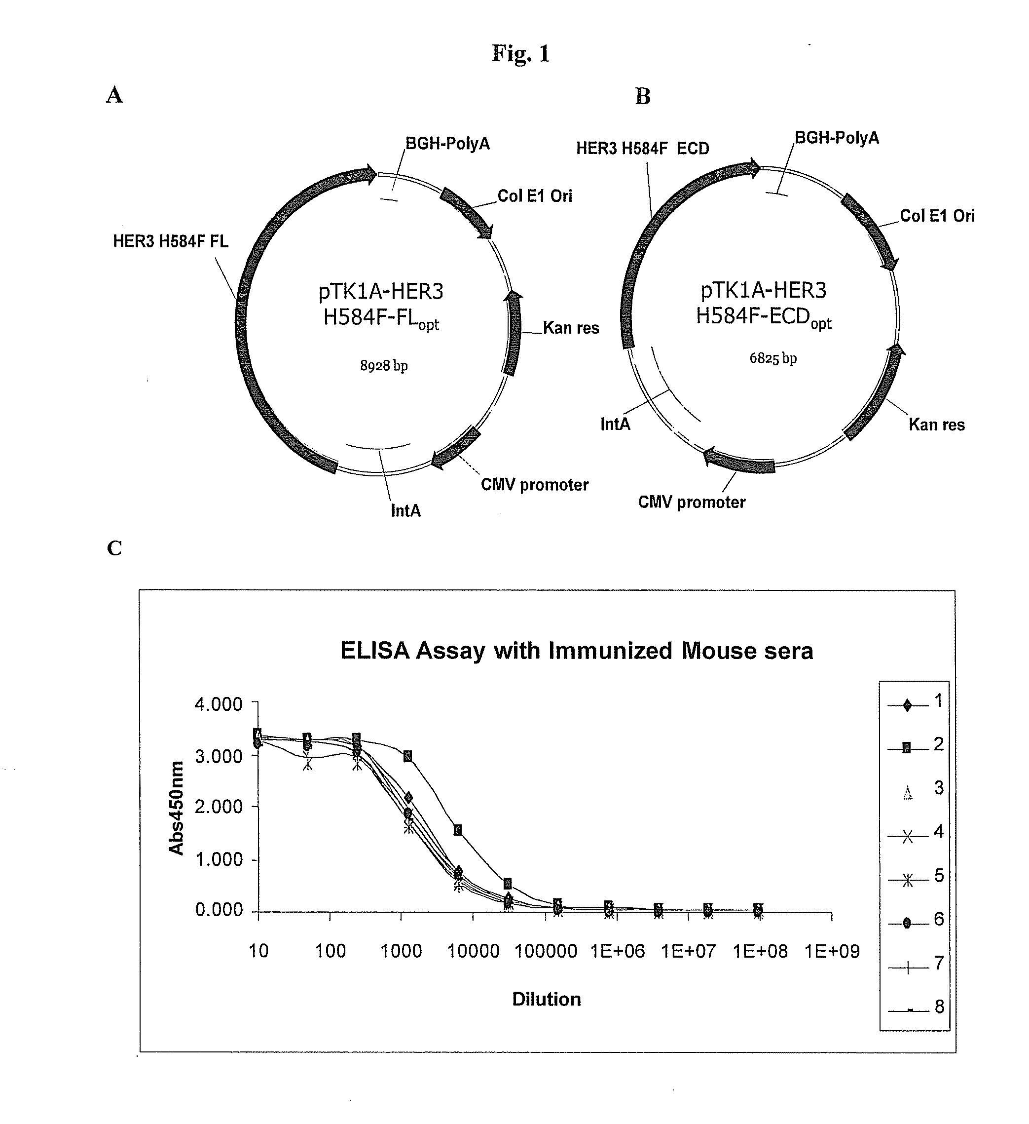 Immunotherapy against erbb-3 receptor