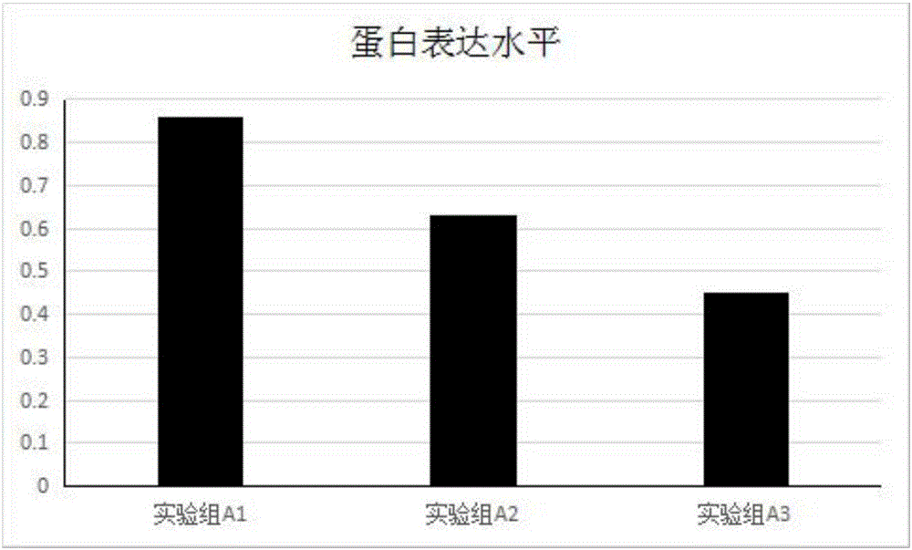 Product for diagnosing prostate cancer and use thereof