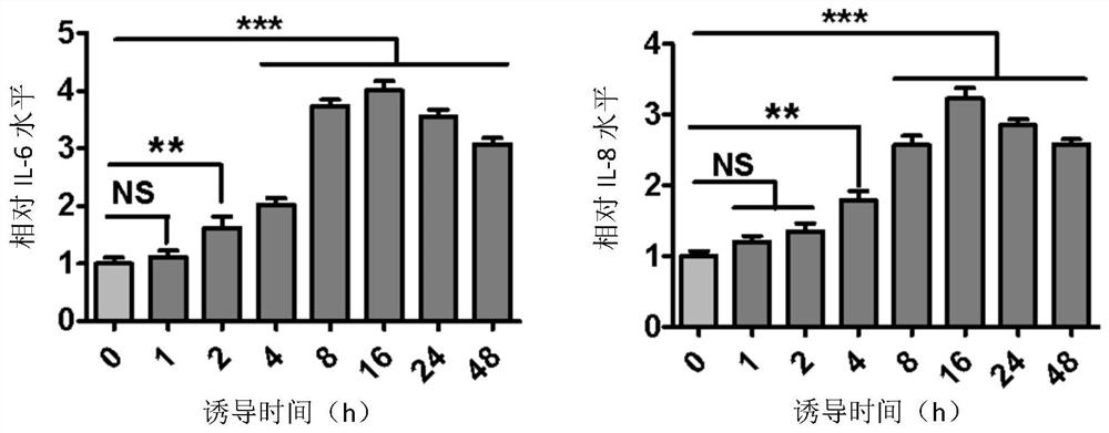 Application of FGFR2b inhibiting molecule in preparation of drug for treating PAF-mediated disease