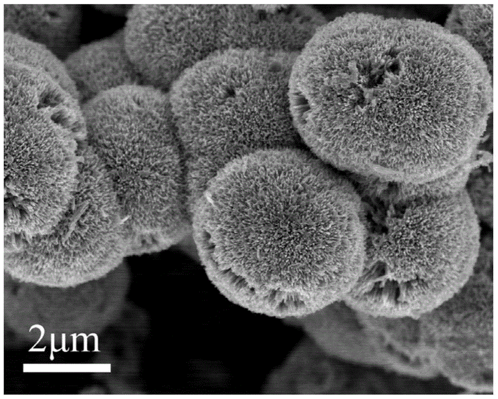 wavy mos  <sub>2</sub> Nanosheet inlaid dandelion tio  <sub>2</sub> Nanosphere composite heterojunction semiconductor material and preparation method thereof