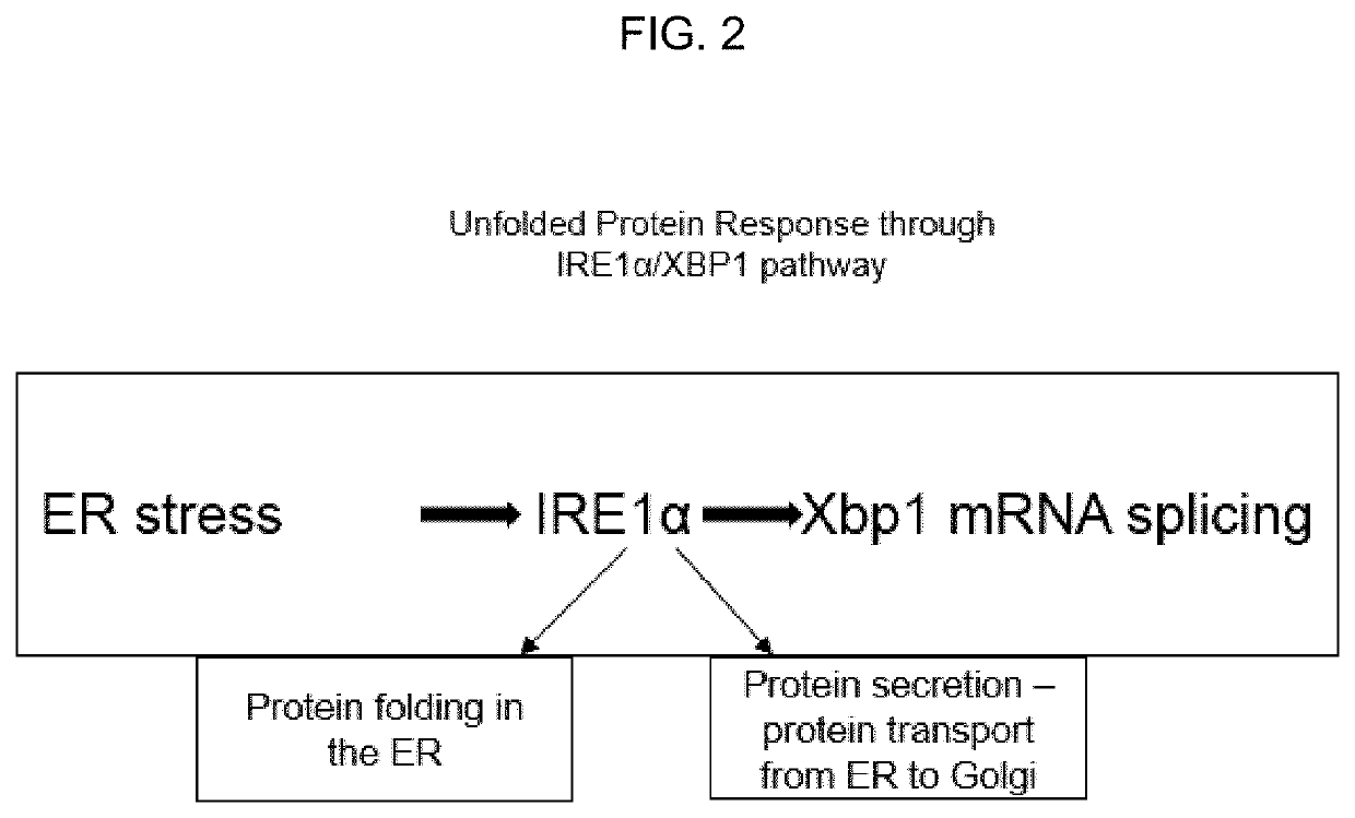 Compositions and methods to promote wound healing