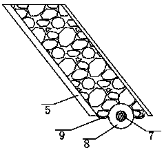 Camellia seed shell breaking device with washing function