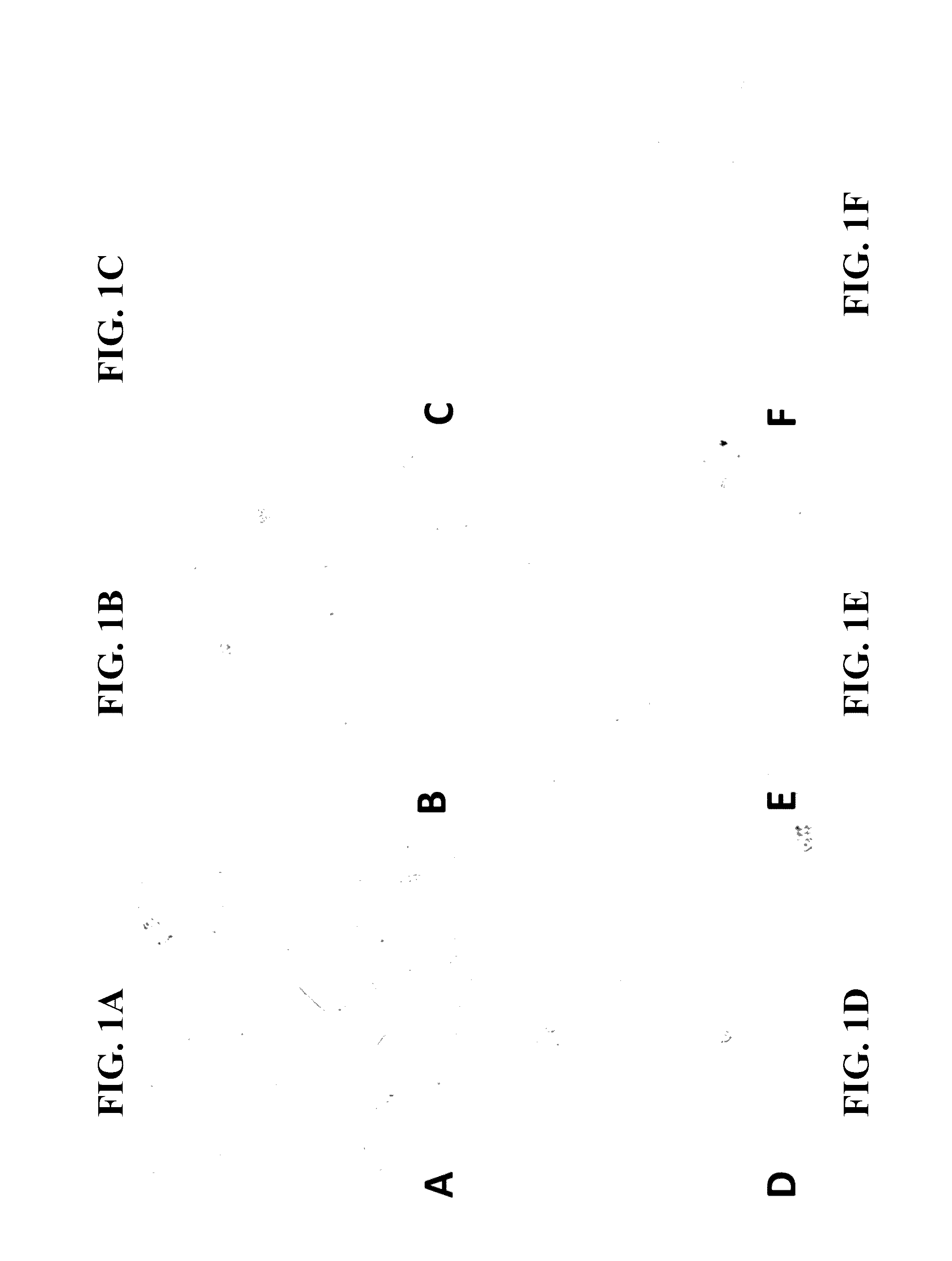 Conversion of non-neuronal cells into neurons