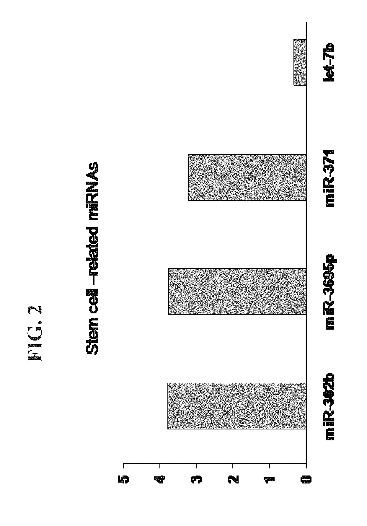 Generation of neural stem cells and motor neurons