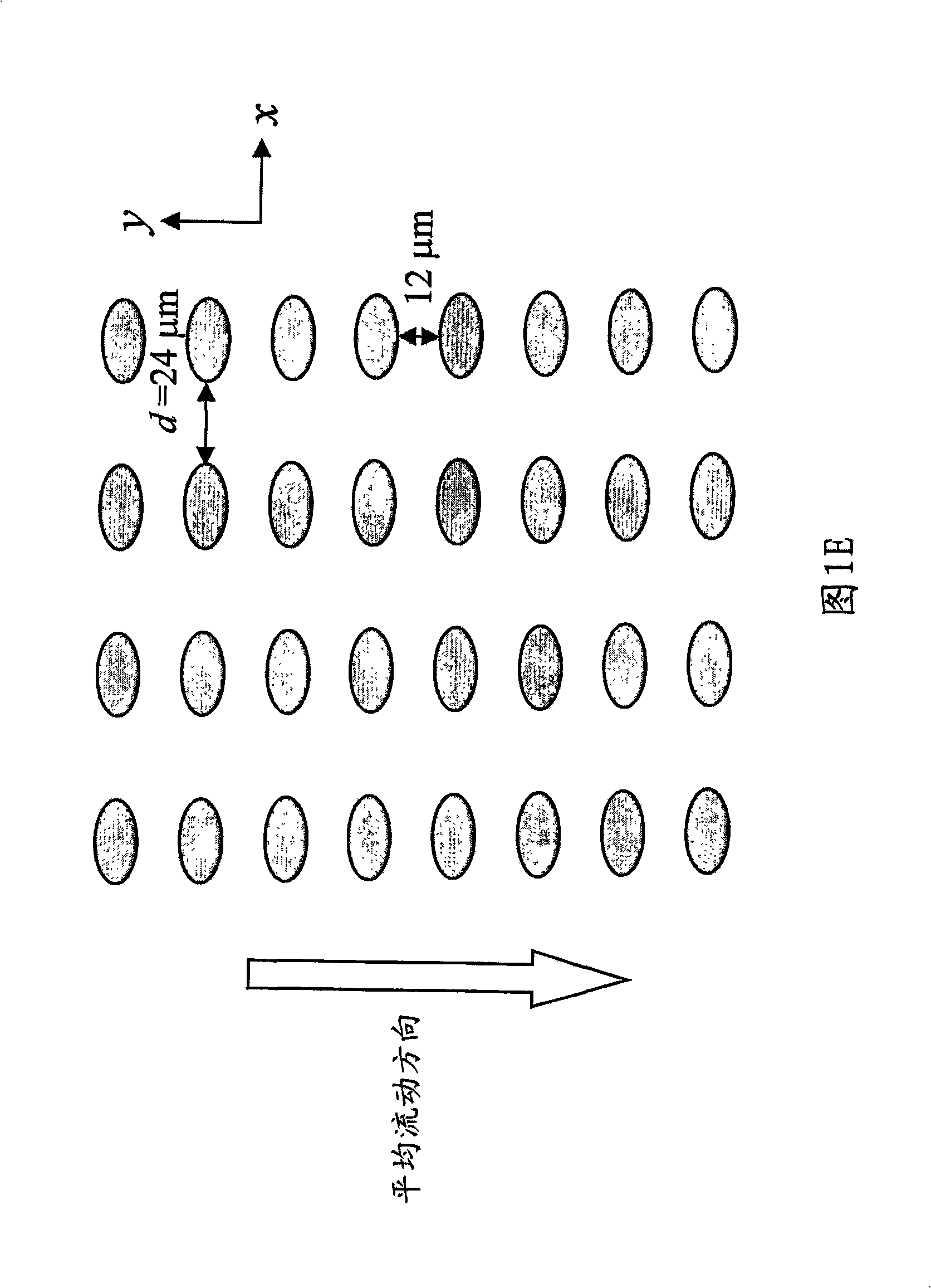 Devices and methods for magnetic enrichment of cells and other particles