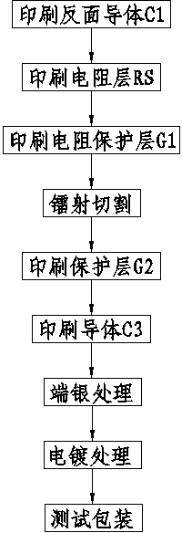 Reverse-side printing process for resistor protruding electrode