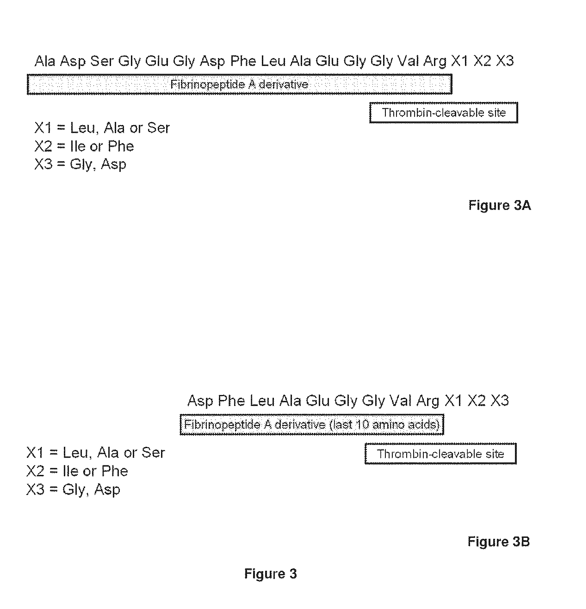 Serine protease derivatives and uses in the prevention or the treatment of blood coagulation disorders