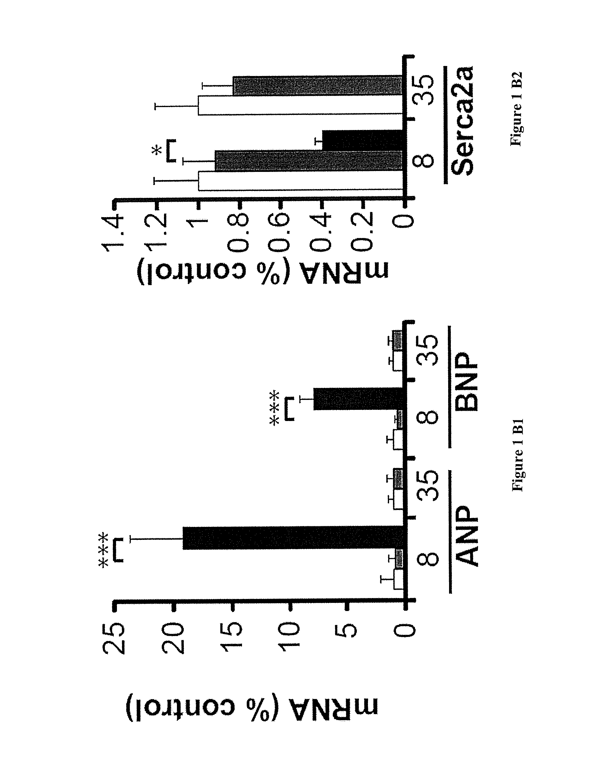 Methods and pharmaceutical compositions for the treatment of cardiomyopathy due to friedreich ataxia