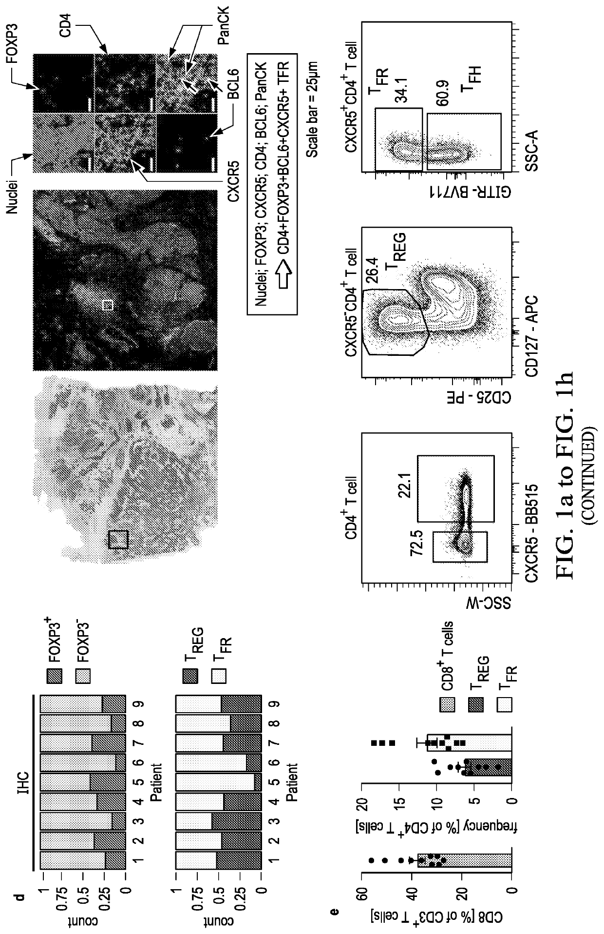 Intratumoral TFR Cells Curtail Anti-PD-1 Treatment Efficacy