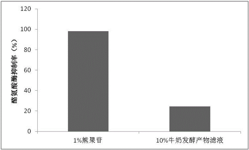 Milk fermented product filtrate as well as preparation method and application thereof