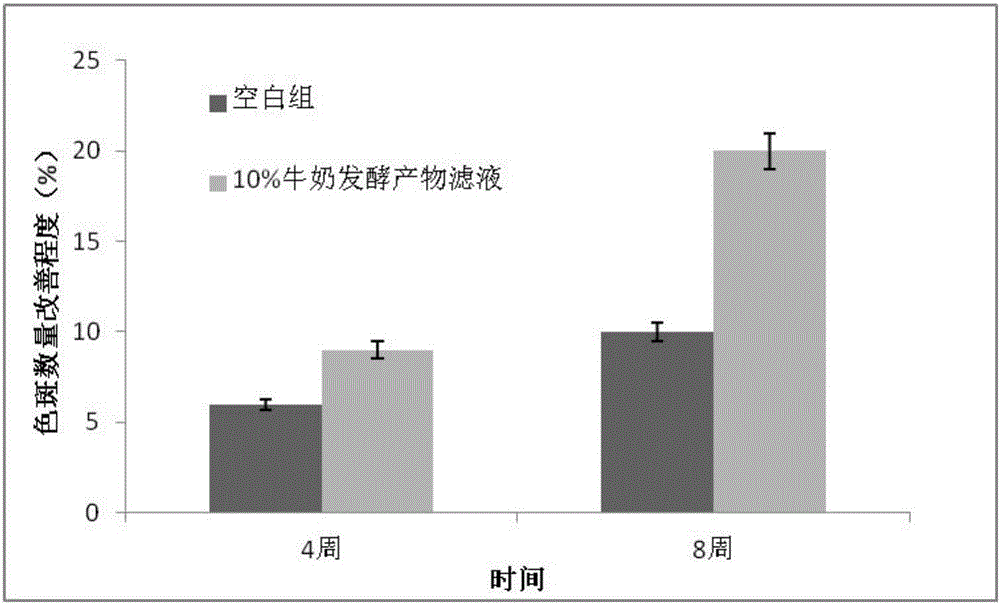 Milk fermented product filtrate as well as preparation method and application thereof