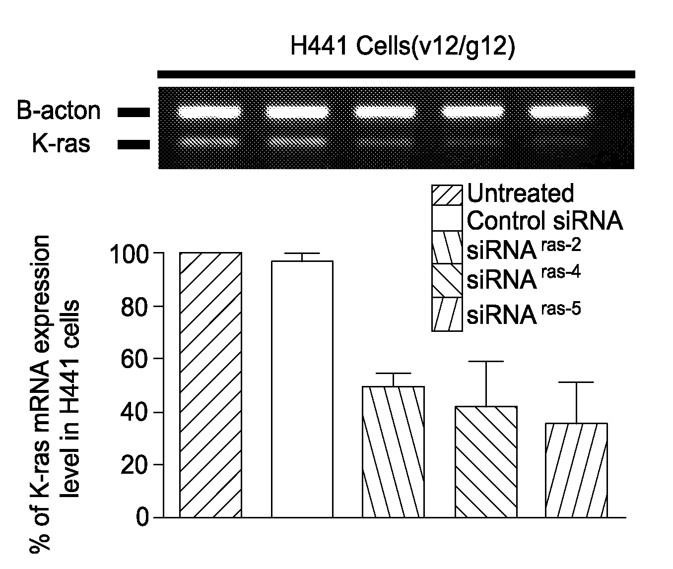 Anti-Tumor Activity of an Oncolytic Adenovirus-Delivered Oncogene siRNA