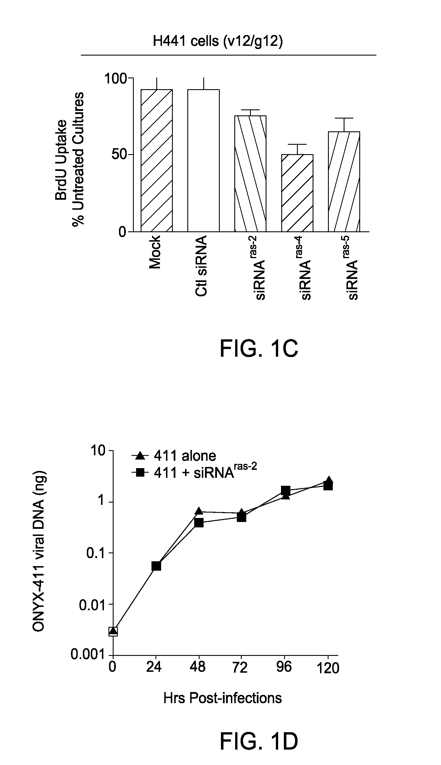 Anti-Tumor Activity of an Oncolytic Adenovirus-Delivered Oncogene siRNA