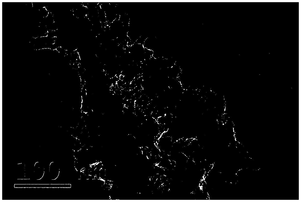 Large-scale production method of nitrogen-rich and phosphorus-rich doped amorphous carbon/graphite carbon nano-composite powder