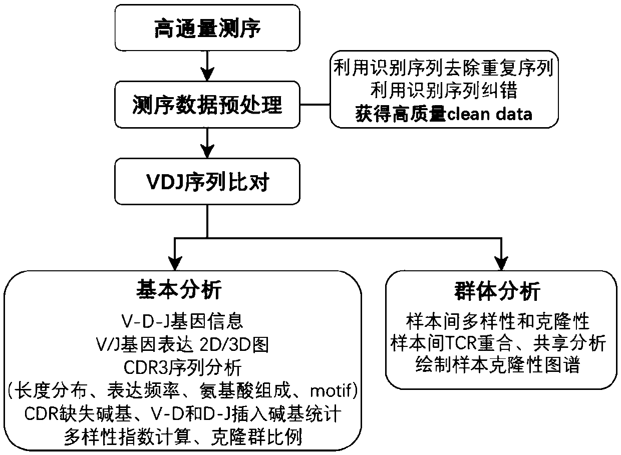 Specific recognition sequence based T cell receptor high-throughput sequencing library construction and sequencing data analysis method