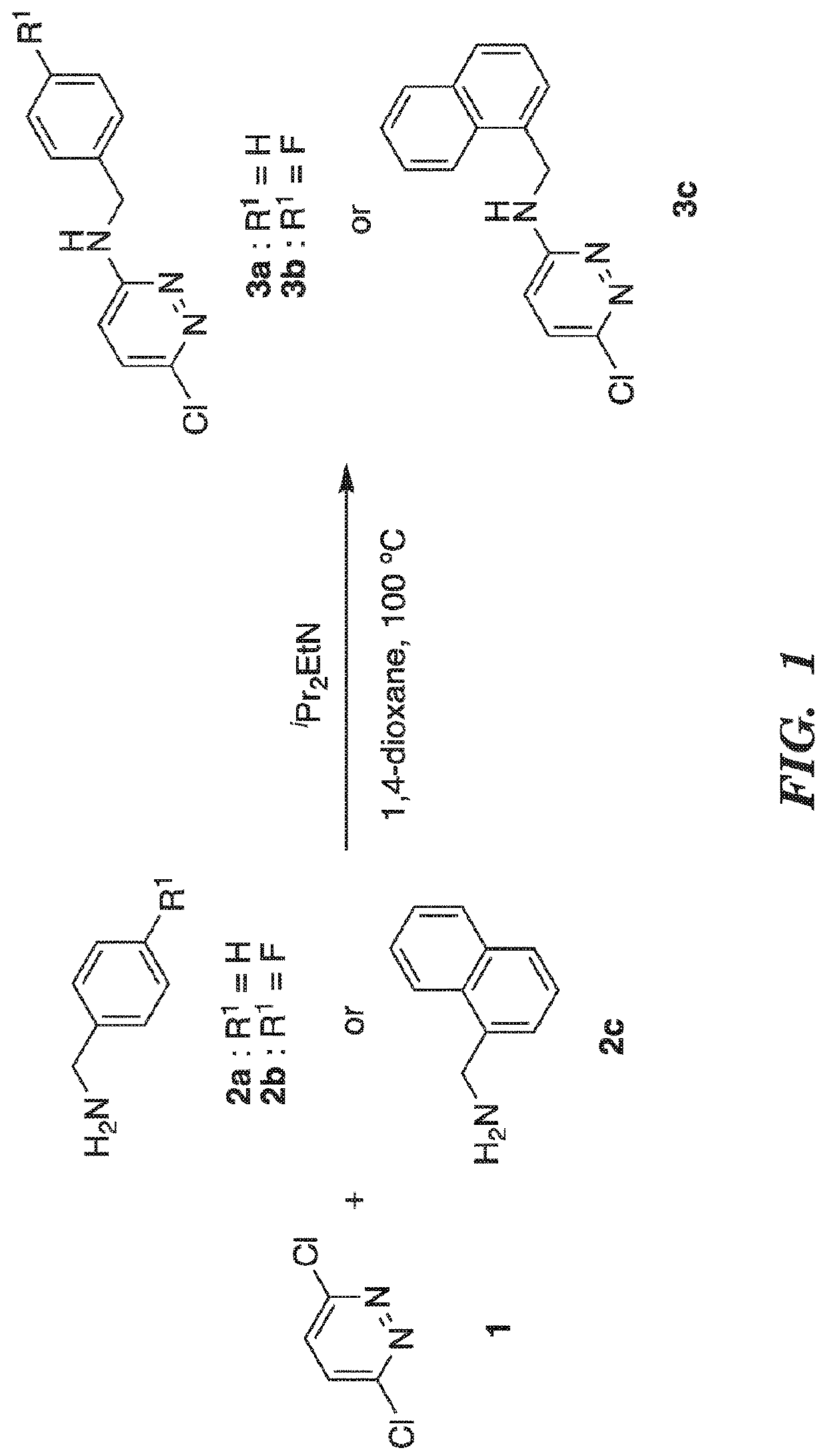 Kinase inhibitor compounds and compositions and methods of use