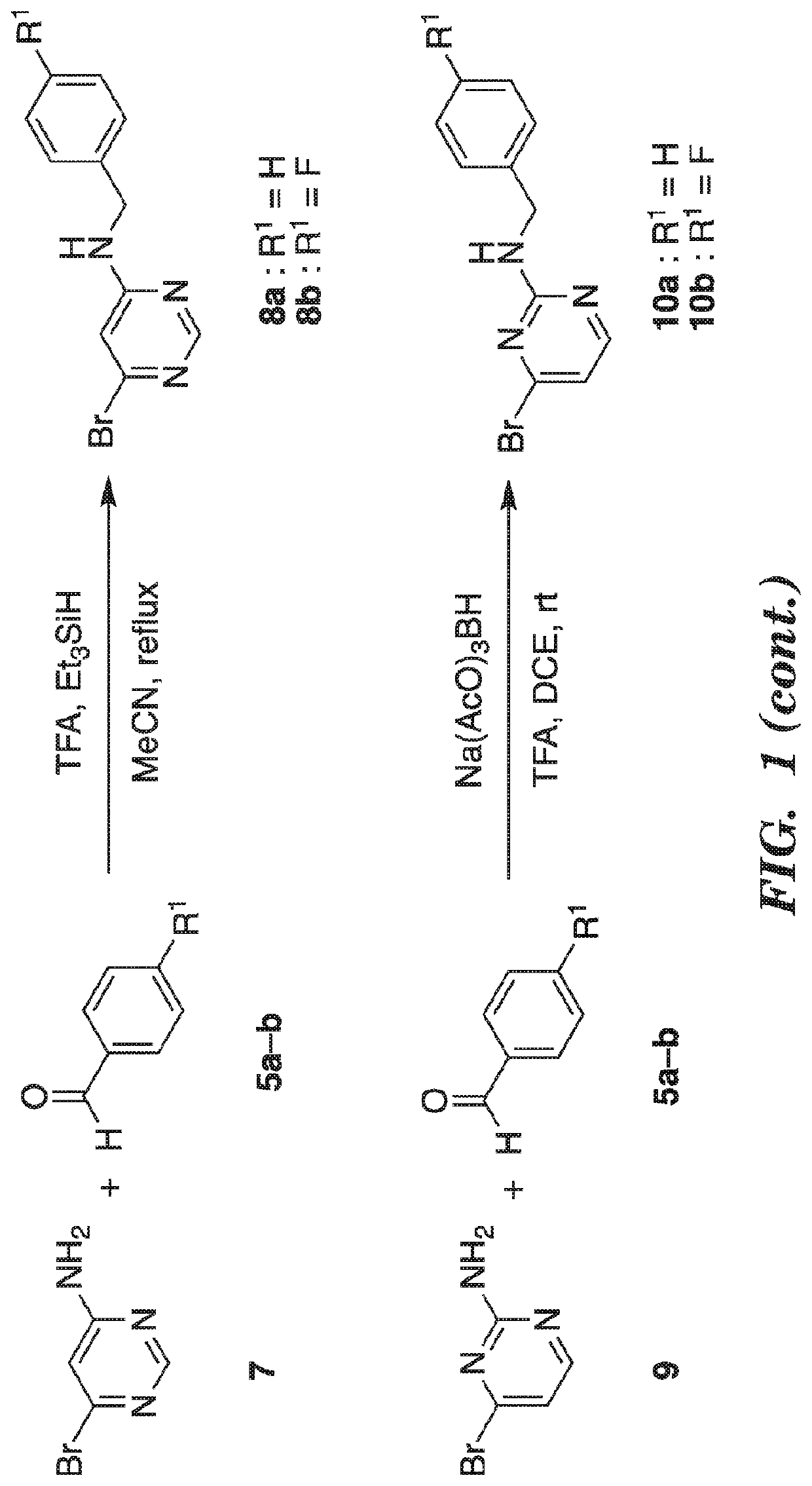 Kinase inhibitor compounds and compositions and methods of use