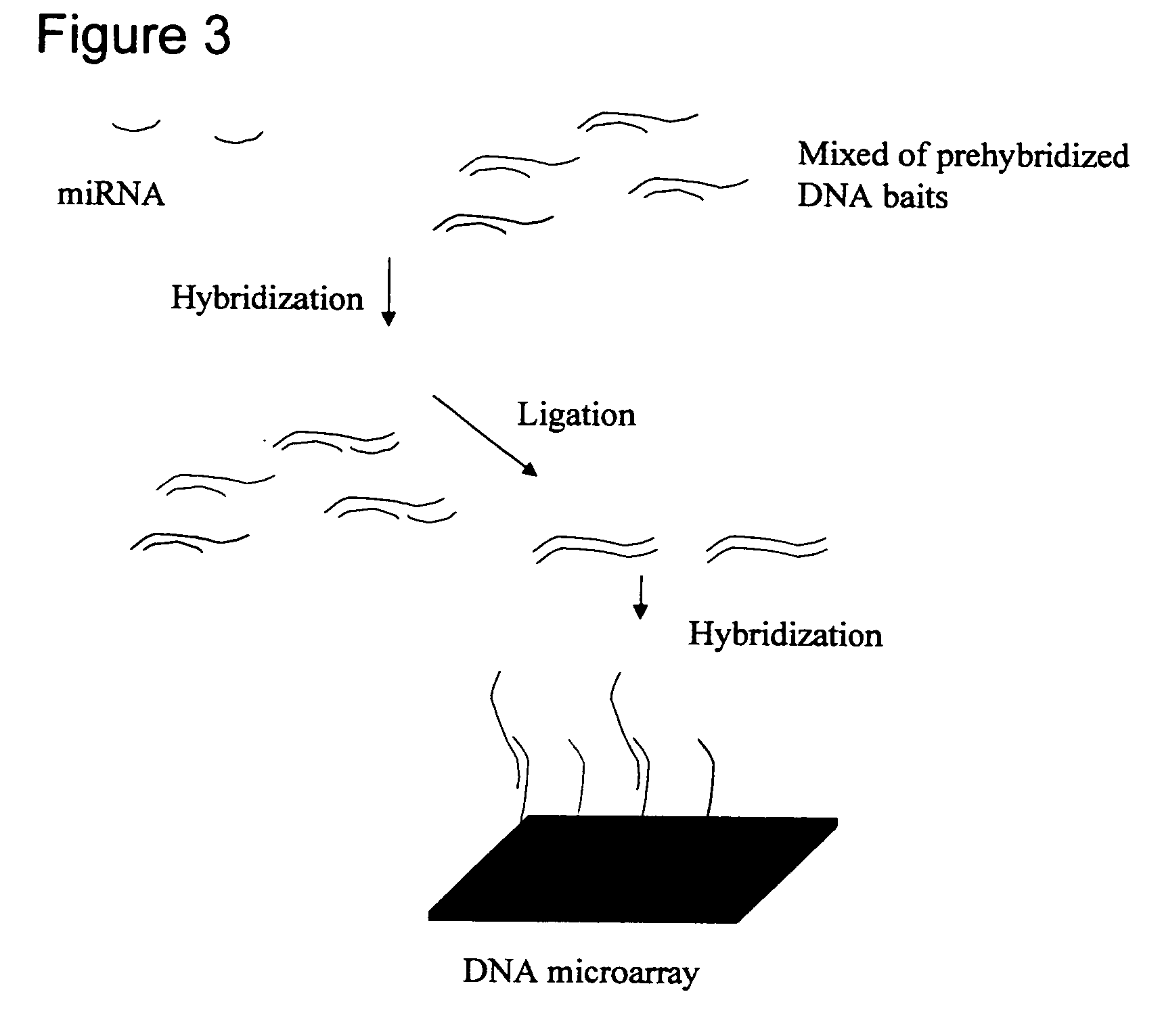 Method for the determination of cellular transcriptional