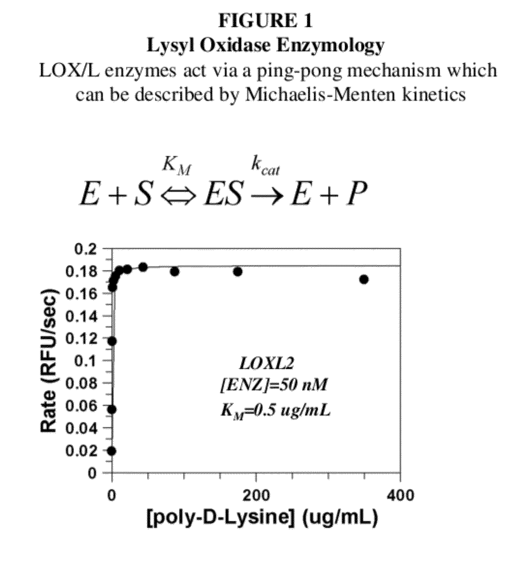 Lox and loxl2 inhibitors and uses thereof