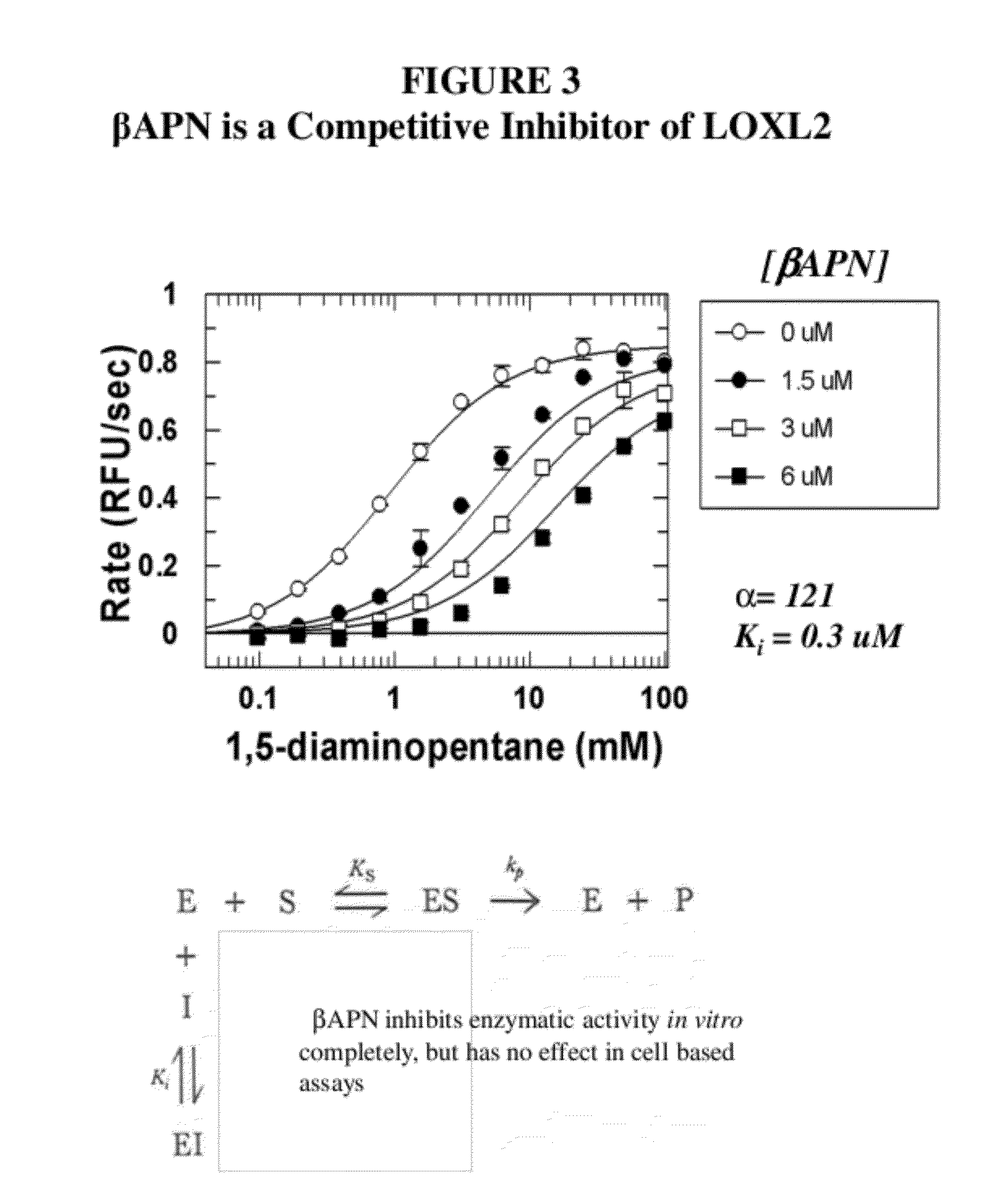 Lox and loxl2 inhibitors and uses thereof