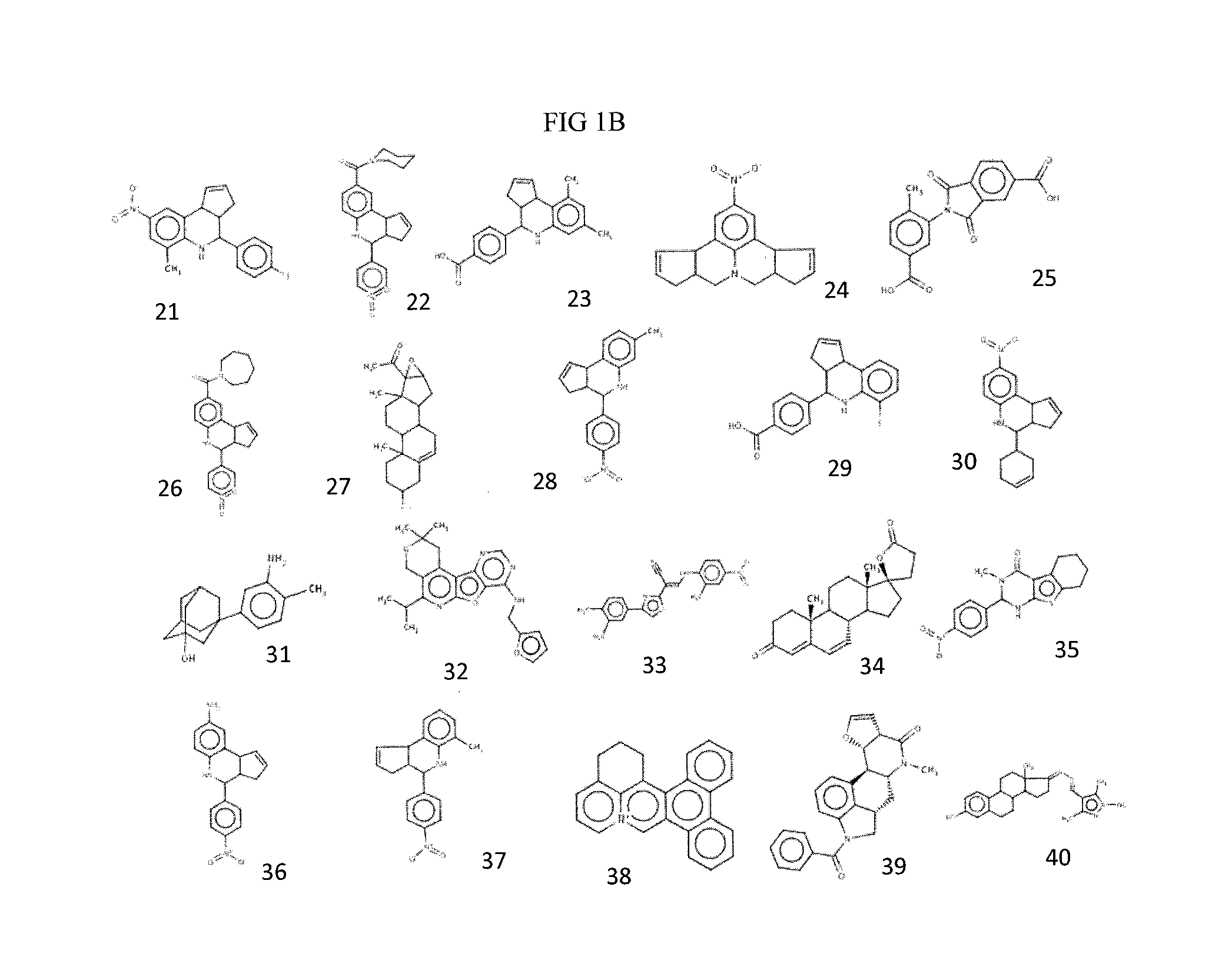 Compositions and methods for inhibiting norovirus infection