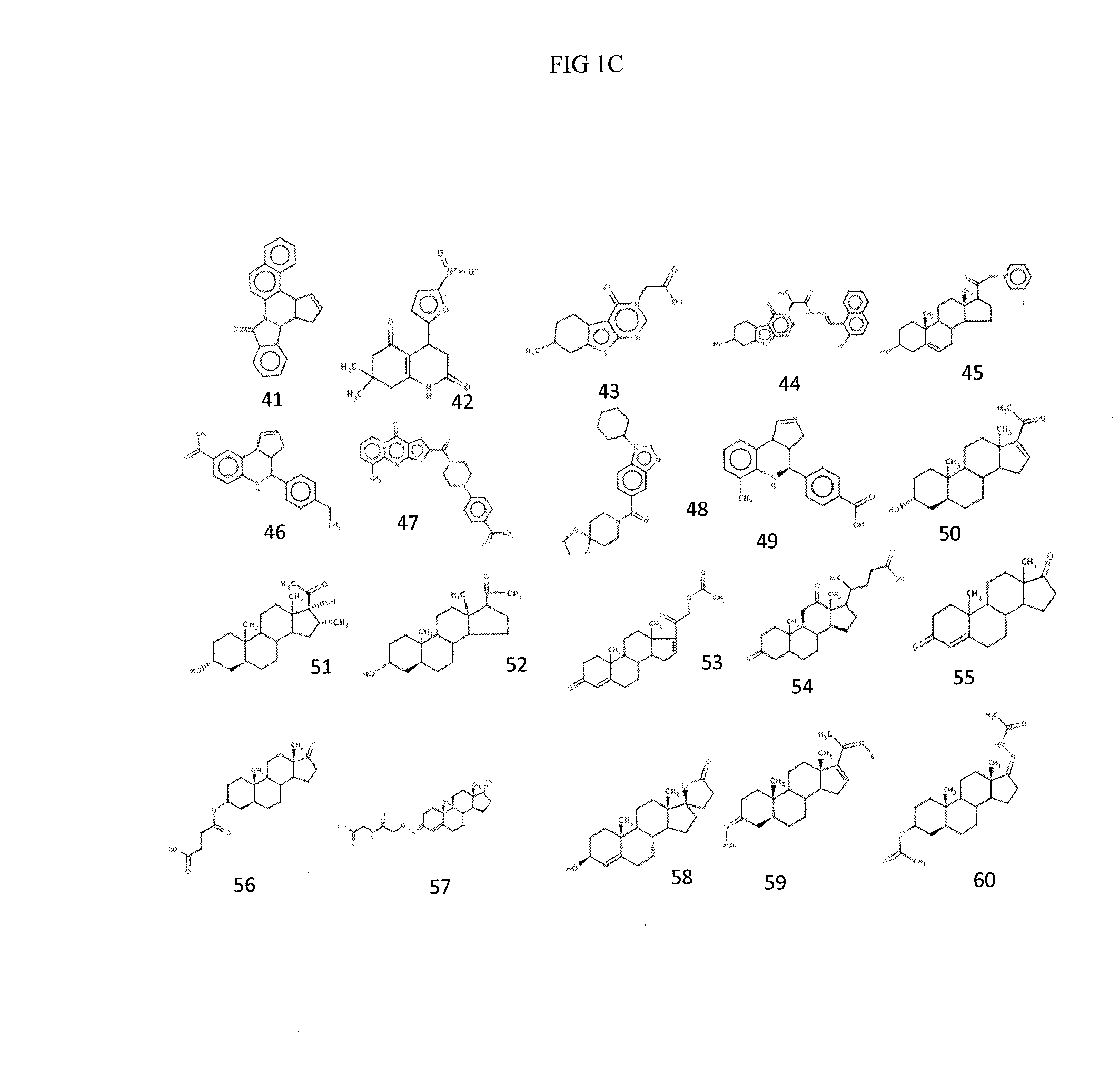 Compositions and methods for inhibiting norovirus infection