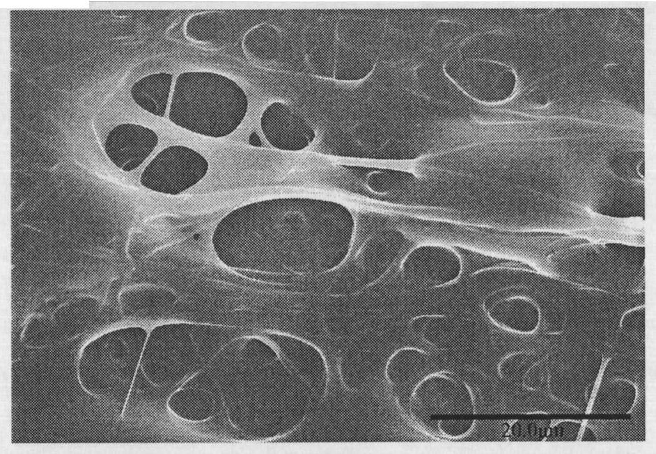 Method for preparing pure hyaluronic acid nano fiber non-woven fabric