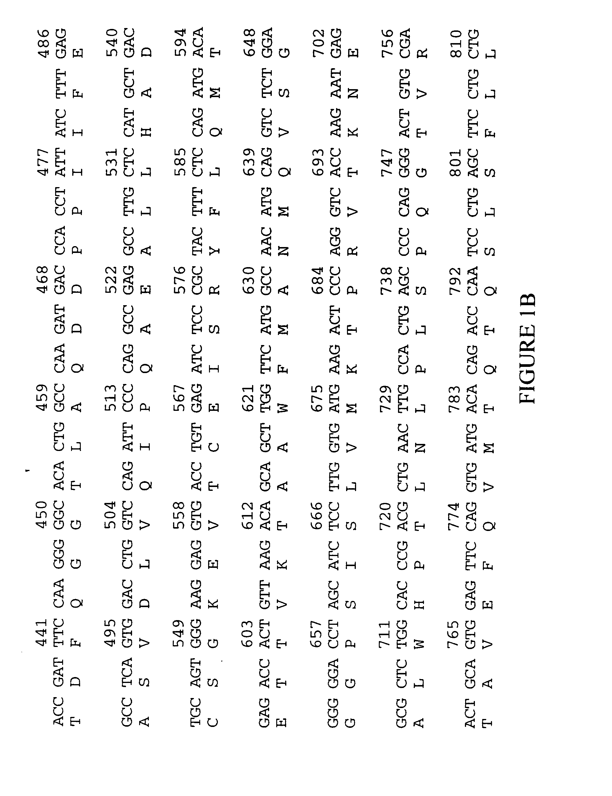 Tapasin-like protein