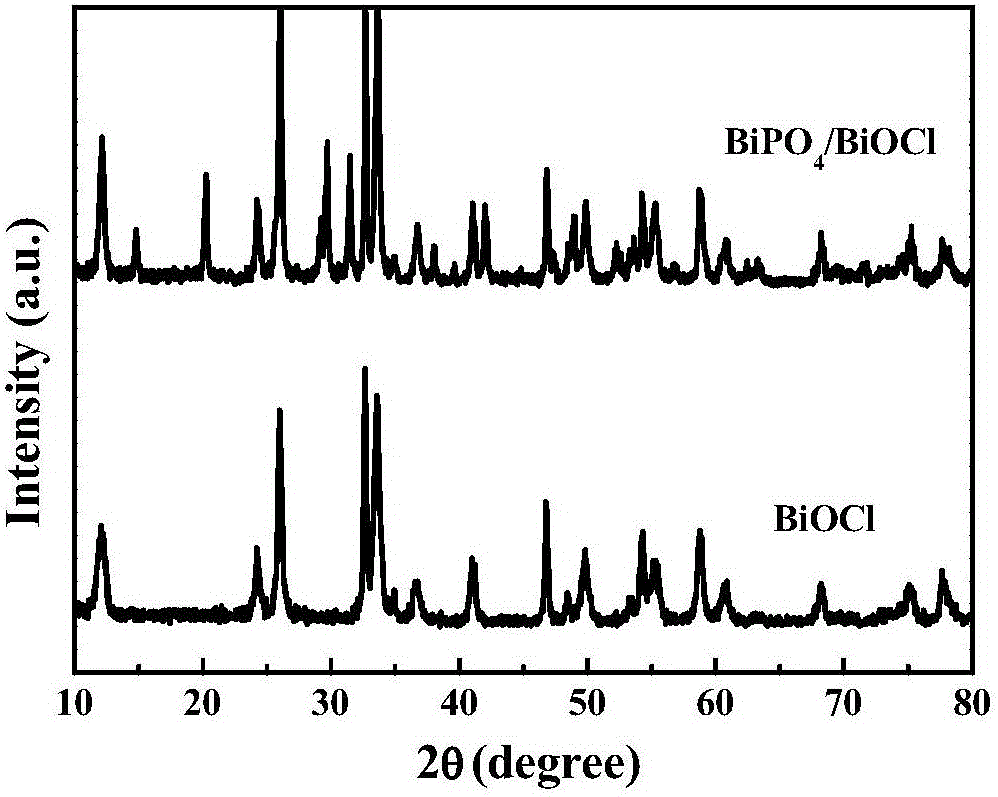 Electrochemical preparation and application method of composite film photocatalyst BiPO4/ BiOCl