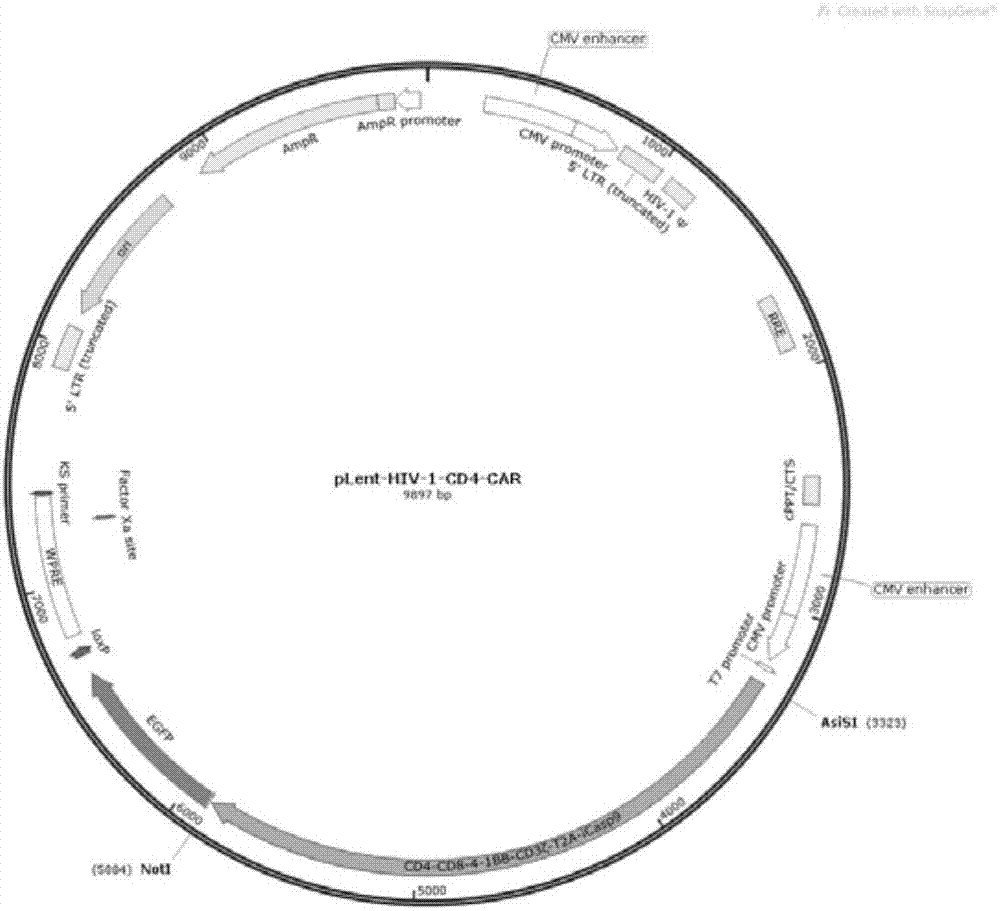 Chimeric antigen receptor gene for HIV-1, plasmid with gene, T cell, kit and application