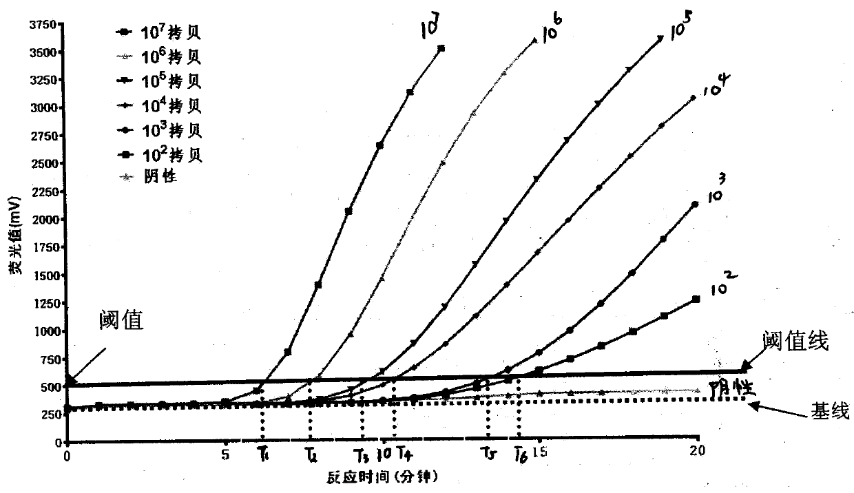 A method for fluorescence quantitative calculation based on recombinase-mediated isothermal nucleic acid amplification (RAA) method