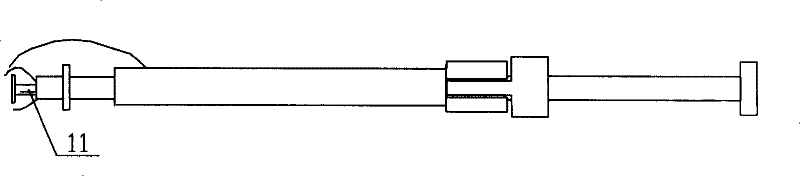 A pearl culturing method for nucleus pearl, using tool therewith and cultured pearl