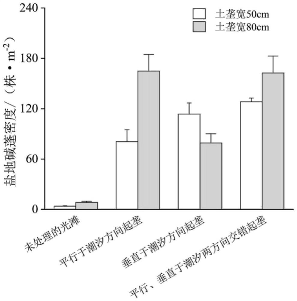 Ridge-supporting and ditch-shaping restoration method for suaeda salsa in coastal degraded wetland