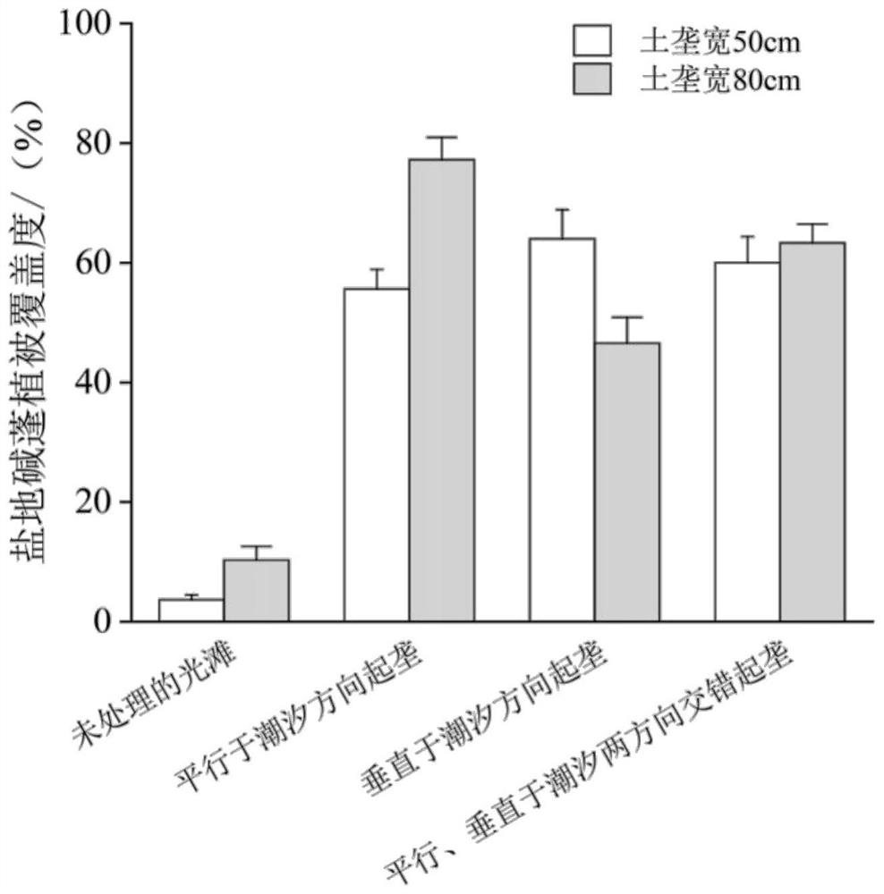 Ridge-supporting and ditch-shaping restoration method for suaeda salsa in coastal degraded wetland