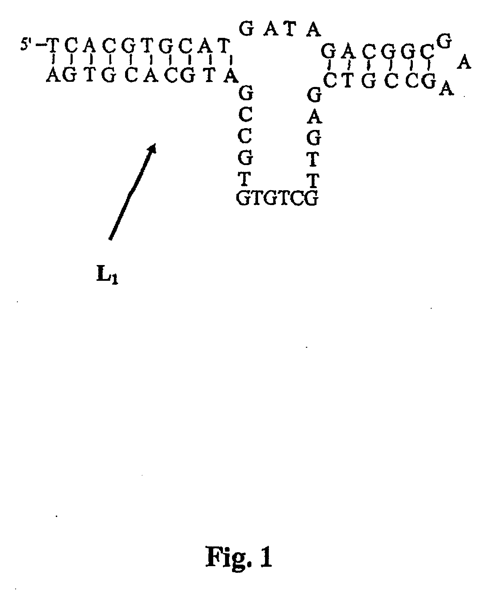 Nucleic acids in the form of specific novel chiral selectors