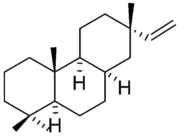 Diterpenoid compounds libertellenone G and libertellenone H with antineoplastic activities and application thereof