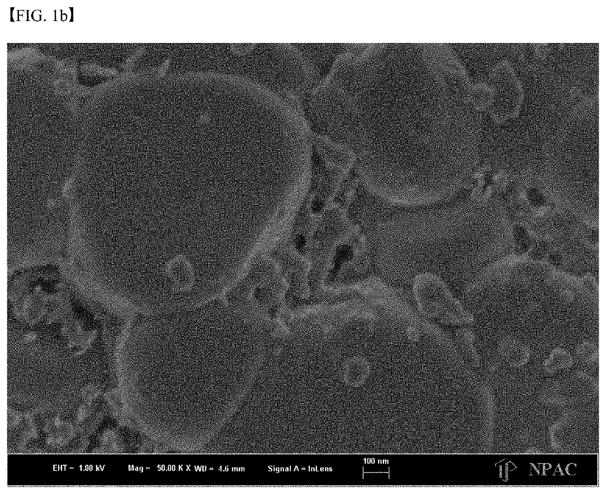 Secondary battery and active material