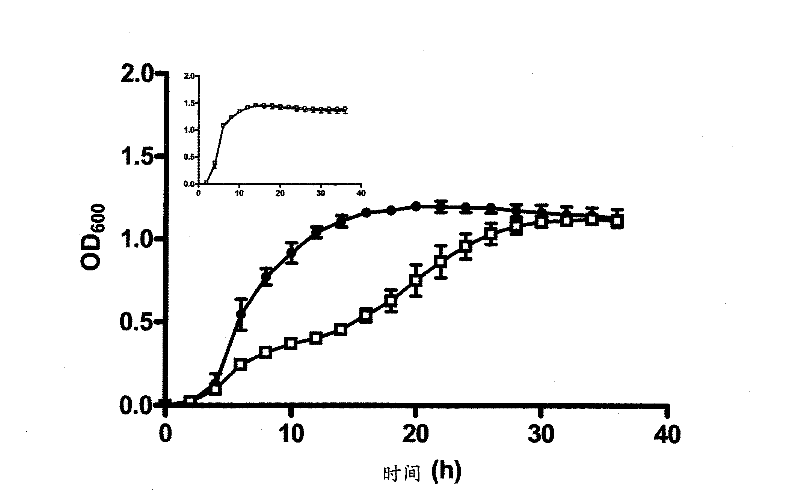 Siderophore-mediated iron uptake in bacterial infection