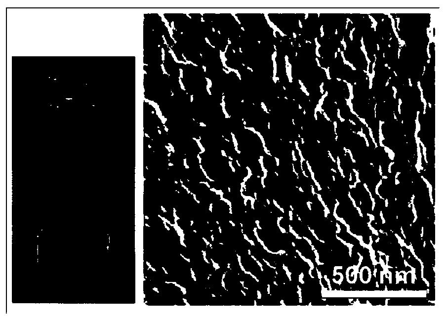 Cationic antibacterial peptide modified by dopamine or derivative thereof as well as preparation and application thereof