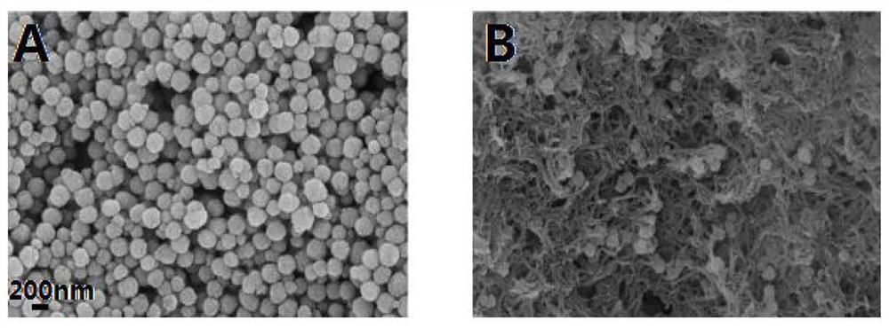 Preparation method and application of a magnetic covalent organic framework compound for adsorbing triphenylmethane dyes