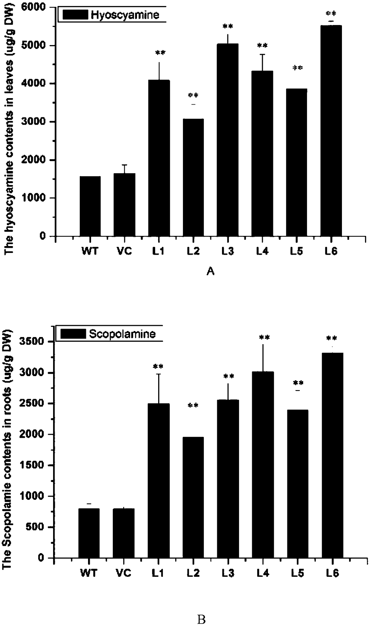 Anisodus luridus ornithine decarboxylase ALODC gene as well as recombinant expression vector and application thereof