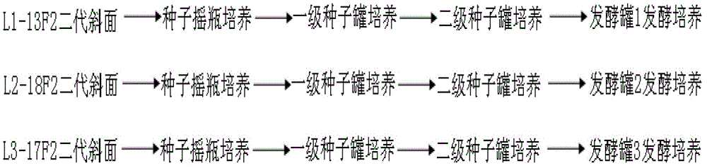 Mixed liquid fermentation process of three plants of bacillus licheniformis