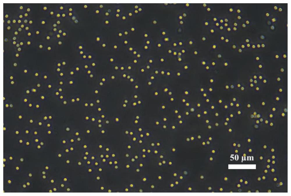 Wall breaking method for preparing nanoscale selenium-enriched yeast