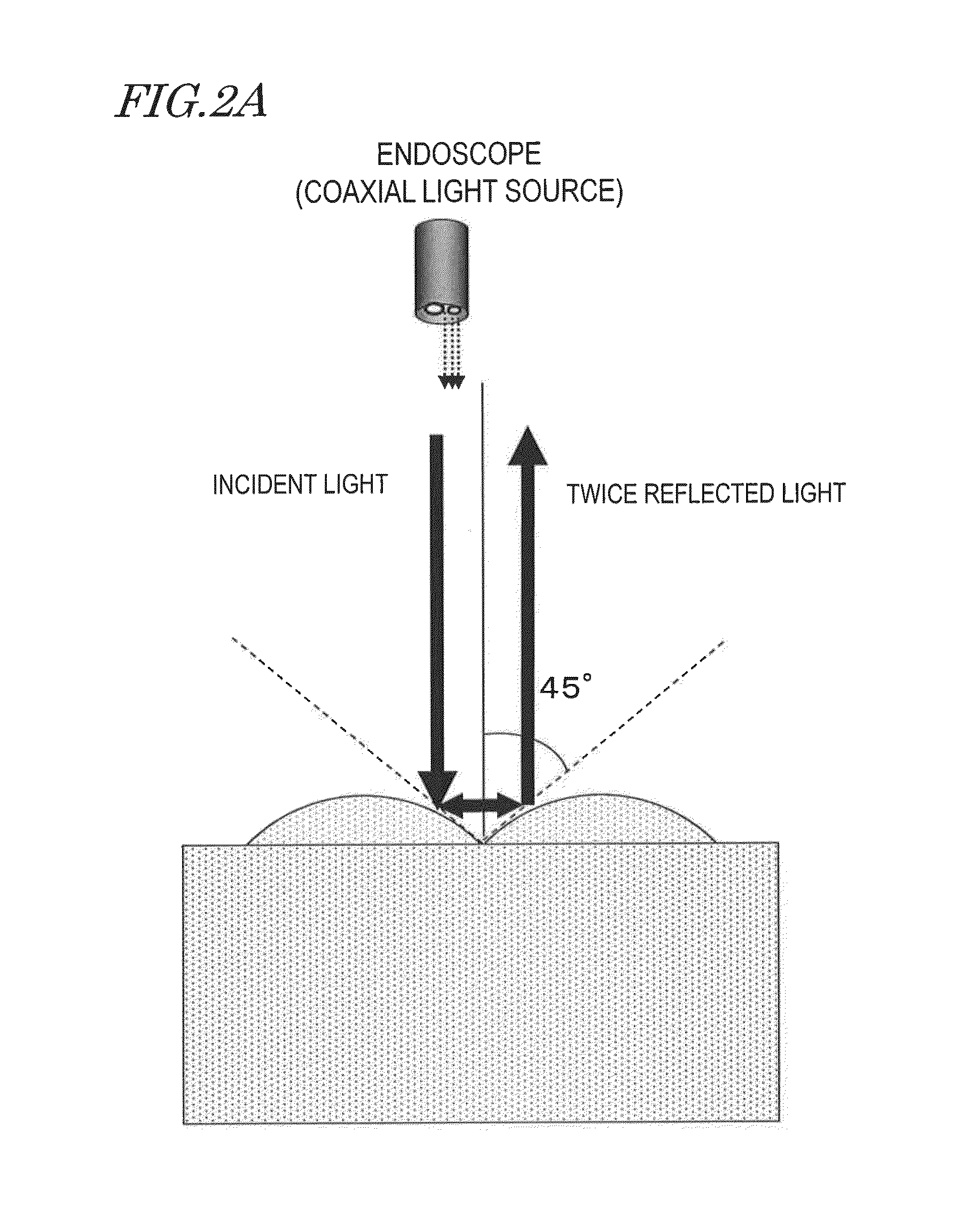 Image capturing processor and endoscope