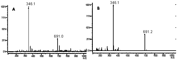 Method for extracting cyclic adenosine monophosphate and cyclic guanosine monophosphate from jujube fruits