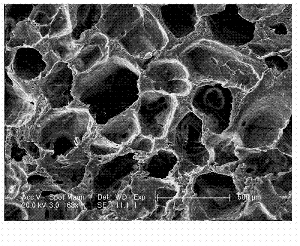 Preparation method of tissue engineering scaffold material